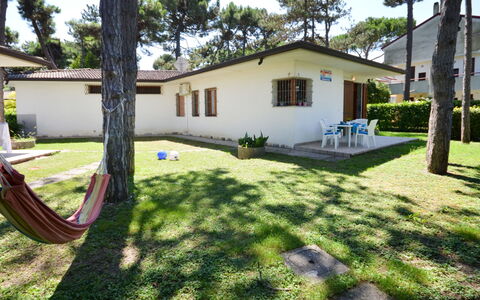 Borgo Veneziano: Propriété, Domicile, Maison, Immobilier, Bâtiment, Zone Résidentielle, Lot Terre, Herbe, Cour, Arbre