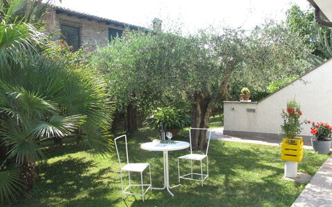 Mia: Ciel, Plante, Meubles, Communauté Des Plantes, Table, Chaise, Bâtiment, Pot De Fleur, Tableau De Plein Air, Fenêtre