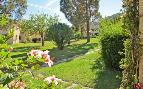Cannigione 614: Propriété, Jardin, Herbe, Cour, Pelouse, Arbre, Printemps, Lot Terre, Immobilier, Plante
