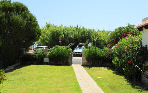 Mirto Marino (Rei410): Jardin, Propriété, Pelouse, Herbe, Arbuste, Maison, Cour, Arbre, Immobilier, Botanique