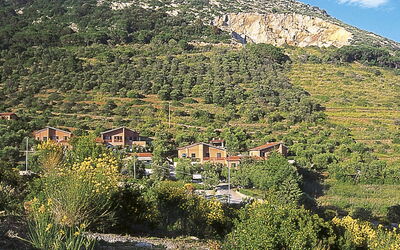 Lacona 615