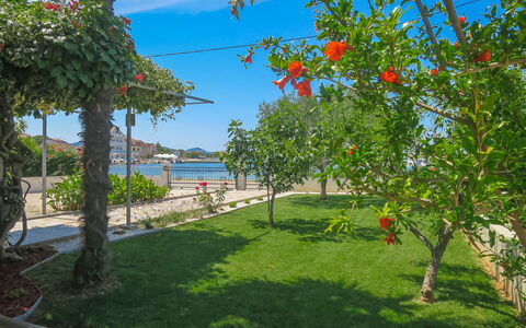 Lidija: Plante, Ciel, Propriété, Fleur, L'Eau, Paysage Naturel, Ombre, Végétation, Lot Terre, Arbre