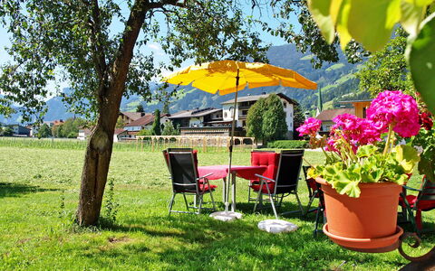 Zell am Ziller 684: Plante, Meubles, Pot De Fleur, Fleur, Arbre, Ombre, Chaise, Mobilier De Jardin, Paysage Naturel, Plante D'Appartement