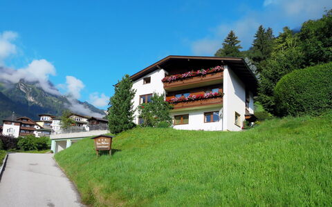 Finkenberg 608: Propriété, Chaîne De Montagnes, Montagne, Montagnes Relief, Ciel, Paysage Naturel, Maison, Station De Montagne, Alpes, Herbe