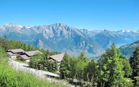 Edelweiss: Ciel, Montagne, Plante, Écorégion, Paysage Naturel, Montagnes, Arbre, Lot Terre, Pente, Herbe