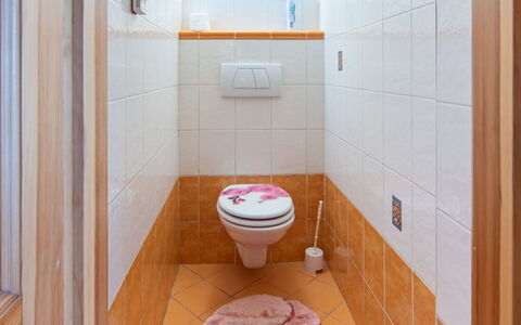 Karasova Ii: Siège De Toilette, Sol, Mur, Sol, Toilette, Salle De Bains, Luminaire Plomberie, Design Intérieur, Tuile, Plomberie