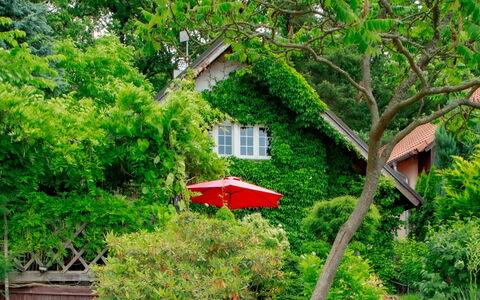 Karasova Ii: Plante, La Nature, Bâtiment, Fenêtre, Branche, Arbre, Paysage Naturel, Végétation, Maison, Biome