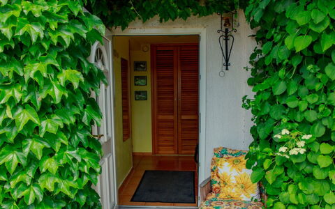 Karasova Ii: Plante, Vert, Porte, Bâtiment, Bois, Herbe, Brique, Teintes Et Ombres, Façade
