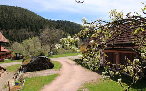 Backhäusle: Nuage, Plante, Ciel, Bâtiment, Montagne, La Nature, Paysage Naturel, Maison, Lot Terre, Arbre