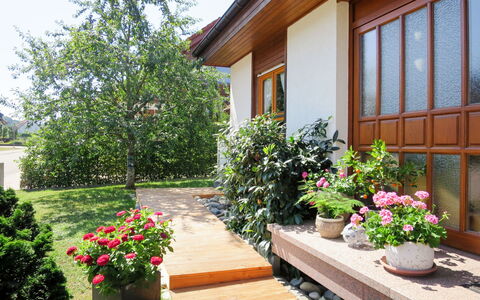 Land in Sicht: Fleur, Plante, Bâtiment, Propriété, Fenêtre, Pot De Fleur, Plante D'Appartement, Botanique, Maison, Ciel