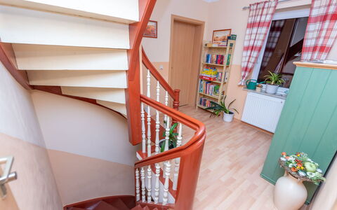 Stangerode 638: Propriété, Plante, Étagère, Bois, Design Intérieur, Fenêtre, Pot De Fleur, Plante D'Appartement, Sol