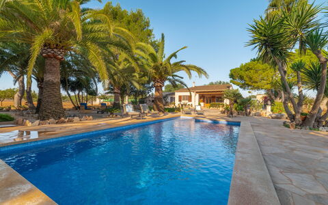 Morla: L'Eau, Ciel, Plante, Propriété, Piscine, Bleu Azur, Arbre, Plan D'Eau, Arecales, Loisir
