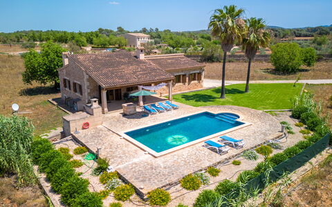 Jardines: Plante, Ciel, L'Eau, Bleu Azur, Piscine, Bâtiment, Arbre, Lot Terre, Loisir, Herbe