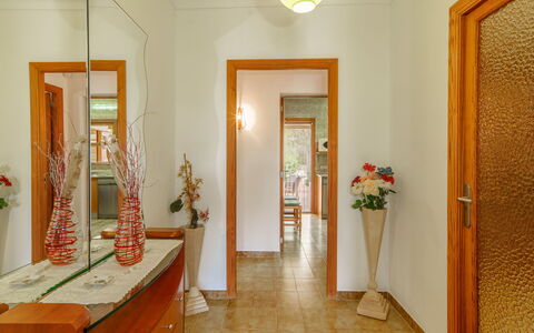 Can Damia: Plante, Miroir, Cadre, Plante D'Appartement, Fleur, Bois, Bâtiment, Orange, Éclairage, Porte