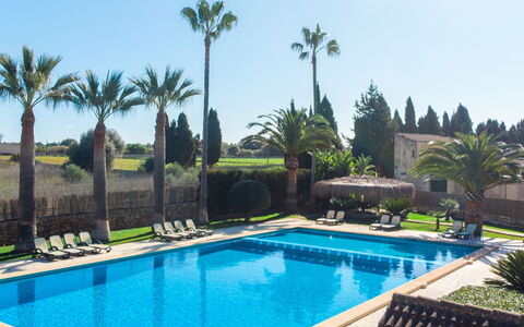Muro 603: L'Eau, Plante, Piscine, Ciel, Bleu Azur, La Nature, Arbre, Architecture, Loisir, Arecales