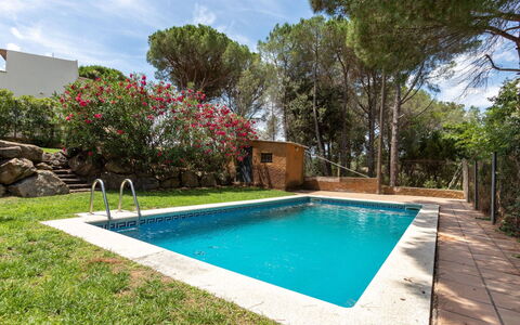 Puigventos: L'Eau, Plante, Nuage, Ciel, Propriété, Fleur, Piscine, La Nature, Bleu Azur, Arbre