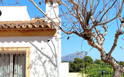 Logement:&nbsp;Hinojo 711.8