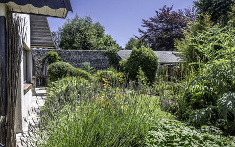 Entre Mer et Jardin: Plante, Propriété, Ciel, Arbre, Lot Terre, Paysage Naturel, Herbe, Paysage, Suppression Des Plantes Ligneuses, Chalet