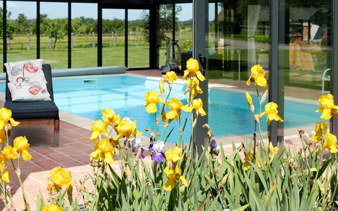 Corbon 601: Fleur, Plante, L'Eau, Botanique, Jaune, Herbe, Ombre, Piscine, Paysage, Pétale