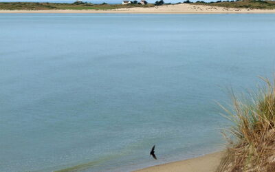 location de vacances La P'Tite Maison (Cez400) - Saint-Germain-Sur-Ay, Basse-Normandie, France