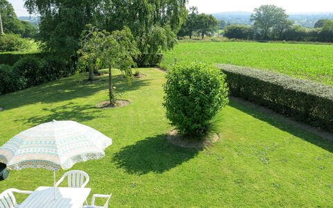 La Chevalerie: Herbe, Propriété, Paysage Naturel, Pelouse, Arbre, Arbuste, Lot Terre, Jardin, Famille Grass, Prairie
