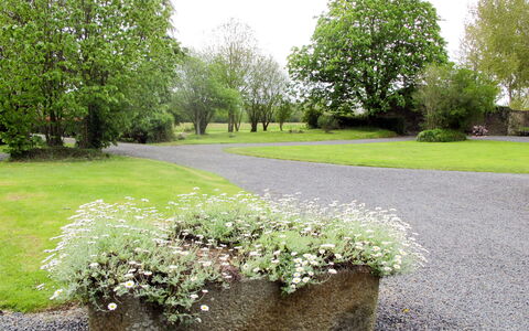 Savigny 608: Plante, Ciel, Vert, Paysage Naturel, Arbre, Végétation, Lot Terre, Haie, Herbe, Arbuste