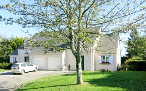 Ar Mimoza: Plante, Ciel, Bâtiment, Voiture, Véhicule, Feuille, Arbre, Fenêtre, Lot Terre