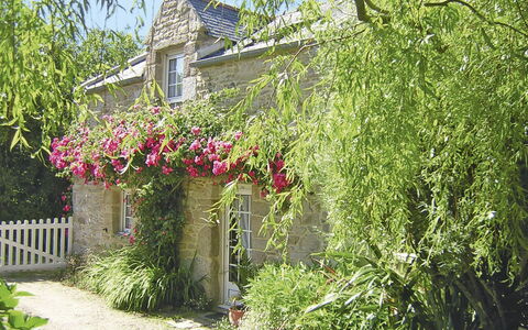 Keranna: Végétation, Propriété, Maison, Chalet, Plante, Jardin, Fleur, Arbuste, Arbre, Botanique