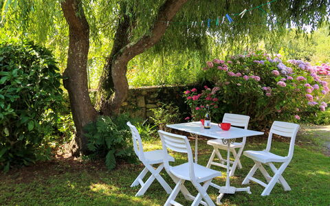Keranna: Plante, Table, Meubles, Communauté Des Plantes, Fleur, Chaise, Tableau De Plein Air, Arbre, Mobilier De Jardin, Paysage Naturel