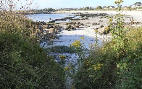 Ty Coz Ar Mor: Plan D'Eau, L'Eau, Paysage Naturel, Ressources En Eau, Végétation, Banque, Environnement Naturel, Rivière, Réserve Naturelle, Cours D'Eau