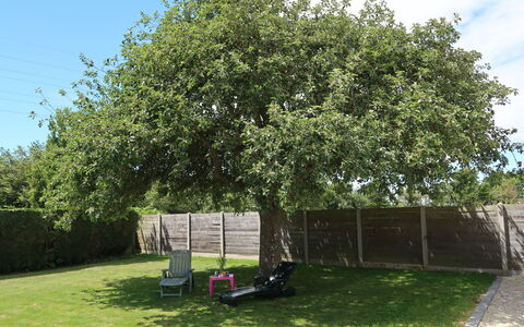 Ty Manolo: Arbre, Suppression Des Plantes Ligneuses, Plante, Propriété, Arbuste, Lot Terre, Herbe, Maison, Canoe Birch, Avion