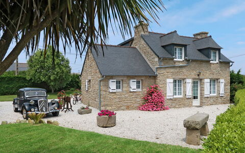 Kernic Ty: Plante, Ciel, Fenêtre, Bâtiment, Maison, Arbre, Herbe, Lot Terre, Nuage, Véhicule
