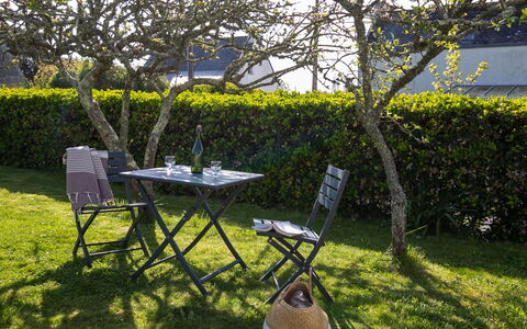 Bienvenue: Plante, Table, Meubles, Tableau De Plein Air, Ombre, Arbre, Mobilier De Jardin, Paysage Naturel, Branche, Lot Terre