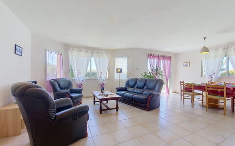 Ker Laouen: Sol, Sol, Meubles, Canapé, Salon, Dur, Chaise, Parquet, Plante D'Appartement