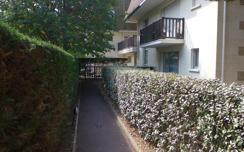 Jardins du Casino: Mur, Arbuste, Couverture De Sol, Haie, Printemps, Jardin, Cour, Aménagement Paysager, Arrière-Cour, Clôture
