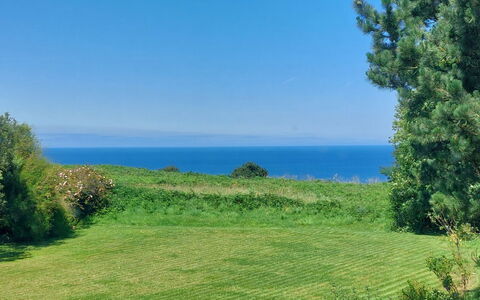 L'Atelier: Bleu, Vert, Prairie, Paysage Naturel, Lot Terre, Plaine, Mer, Prairie, Océan