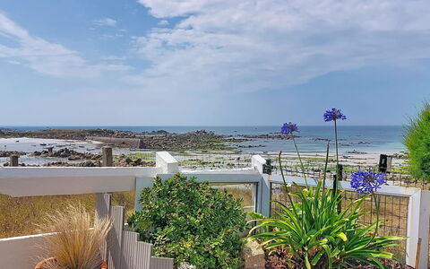 Ti an Aod: Bleu, Mer, Côte, Océan, Jardin, Rive, Aménagement Paysager, Pot De Fleur, Plante D'Appartement