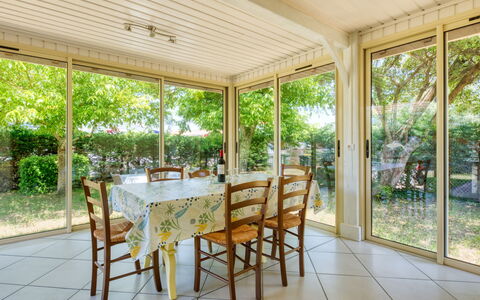 La Côte D'Argent: Plante, Meubles, Table, Chaise, Ombre, Design Intérieur, Bois, Porche, Tableau De Plein Air, Arbre