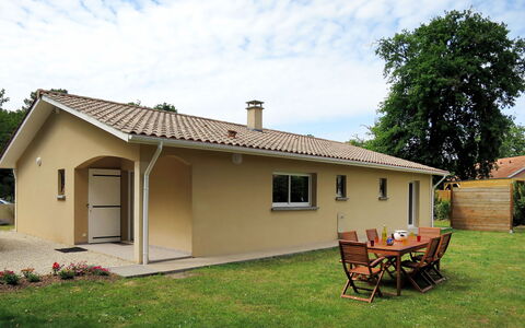 Mimosa: Ciel, Plante, Bâtiment, Fenêtre, Nuage, Arbre, Table, Maison, Porte, Ombre
