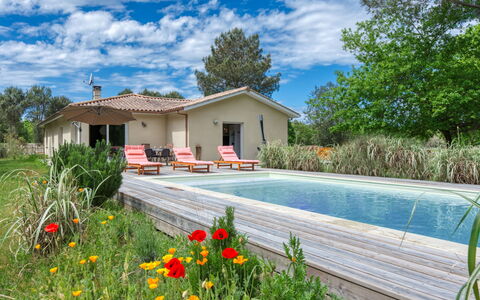 Nico: Nuage, Plante, Ciel, Fleur, Bâtiment, L'Eau, Propriété, Fenêtre, Arbre, Maison