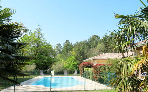 Eugénie: Ciel, Plante, Jour, Bâtiment, La Nature, Bleu Azur, Clôture, Ombre, Botanique, Arbre