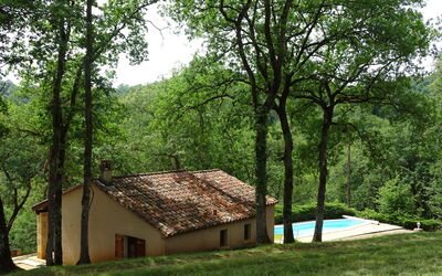Le Chêne