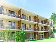 Chinon 604