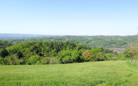 Freyssignes: Ciel, Plante, Paysage Naturel, Végétation, Lot Terre, Arbre, Agriculture, Prairie, Arbuste, Herbe