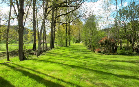 Le Moulin: Plante, Ciel, Paysage Naturel, Nuage, Environnement Naturel, Branche, Arbre, Bois, Ombre, Lot Terre