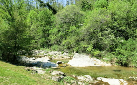 Le Moulin: Ressources En Eau, L'Eau, Plante, Arbre, Paysage Naturel, Ciel, Végétation, Cours D'Eau, Biome