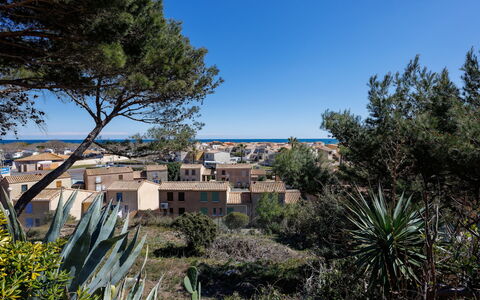 Petite Cigale: Ciel, Plante, Propriété, Communauté Des Plantes, Fenêtre, Bleu Azur, Bâtiment, Lot Terre, Végétation, Arbre