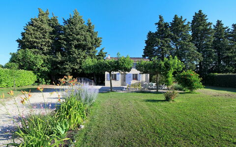 La Maisonnette: Plante, Ciel, Communauté Des Plantes, La Nature, Arbre, Paysage Naturel, Herbe, Suppression Des Plantes Ligneuses, Arbuste, Couverture De Sol