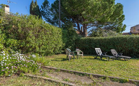 La Pitchoune: Vert, Feuille, Végétation, Arbuste, Jardin, Couverture De Sol, Ombre, Suppression Des Plantes Ligneuses, Pelouse, Arrière-Cour