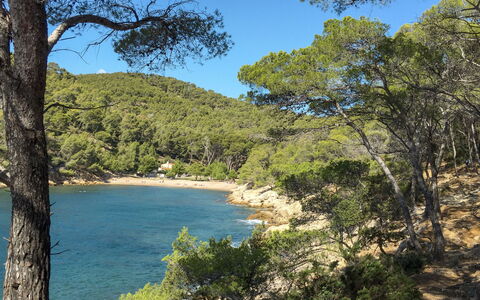 Six Fours 617: L'Eau, Ciel, Plante, Ressources En Eau, Communauté Des Plantes, Écorégion, Arbre, Bleu Azur, Paysage Naturel, Végétation